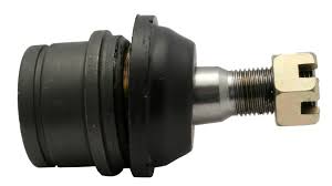 Rotula delant infer derech